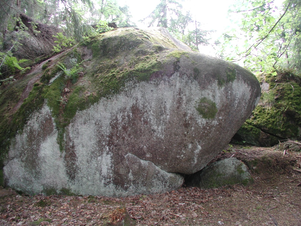 Steinalte Schildkröte