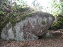 Steinalte Schildkröte