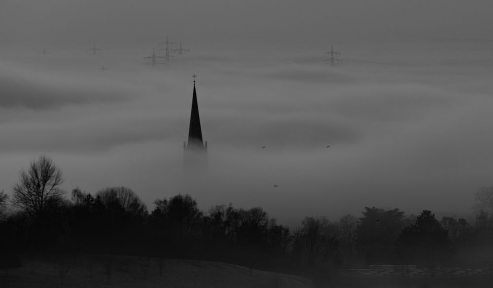 Steinbach im Nebel S/W