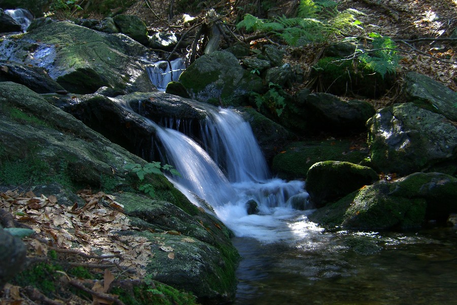 Steinbachfälle