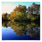 Steinbachsee im Herbst 2014