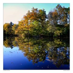 Steinbachsee im Herbst 2014