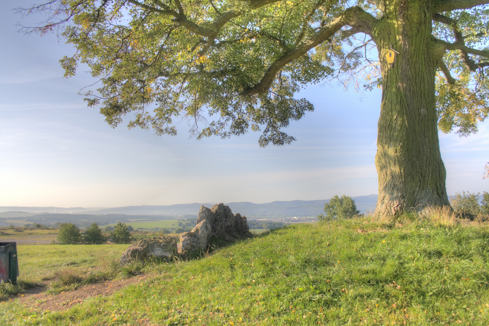 Steinbank am Lindchen