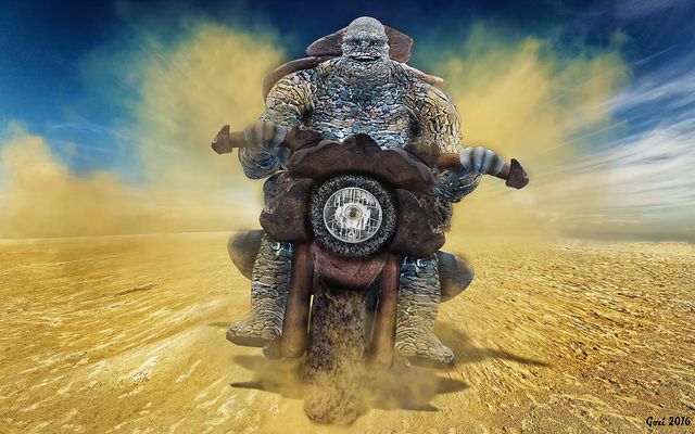 Steinbeisser auf Reisen