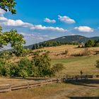 Steinberg III - Goslar/Harz