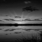 Steinberger See - Abenddämmerung in Schwarz/Weiss