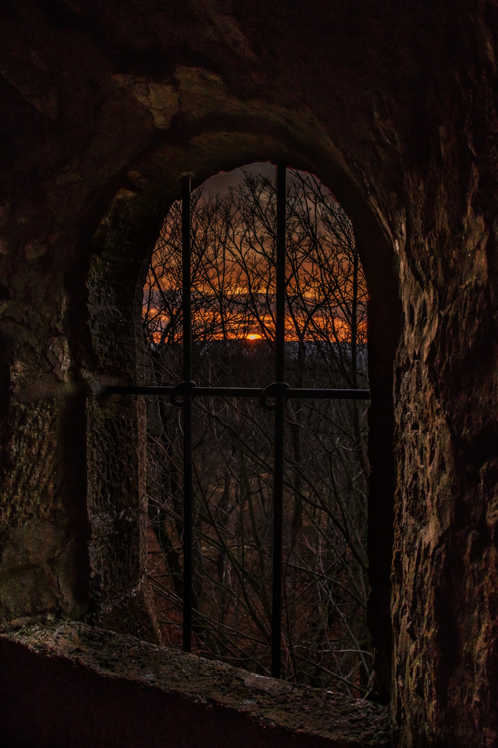 Steinbergturm in Goslar