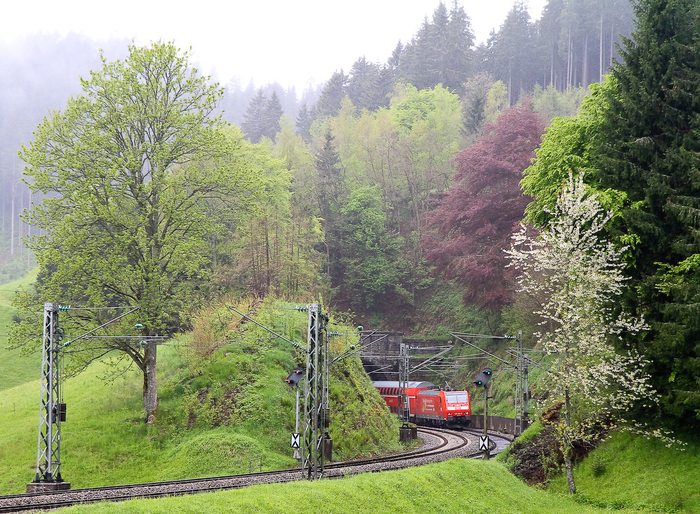 Steinbistunnel