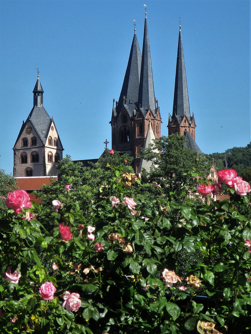 Steinblüten 