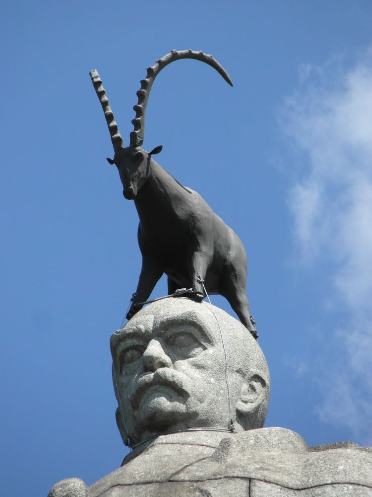 Steinbock auf Steinkopf