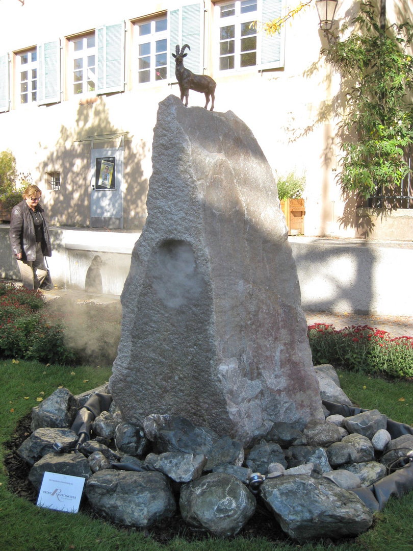 Steinbock im Flachland