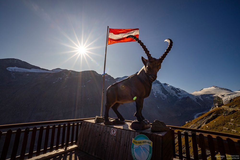 Steinbock mit Flagge