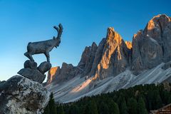 Steinbock mit geisler spitzen