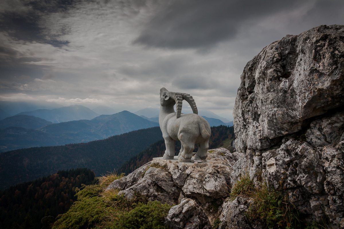 Steinbock  *  Stie-Alm  *  Brauneck