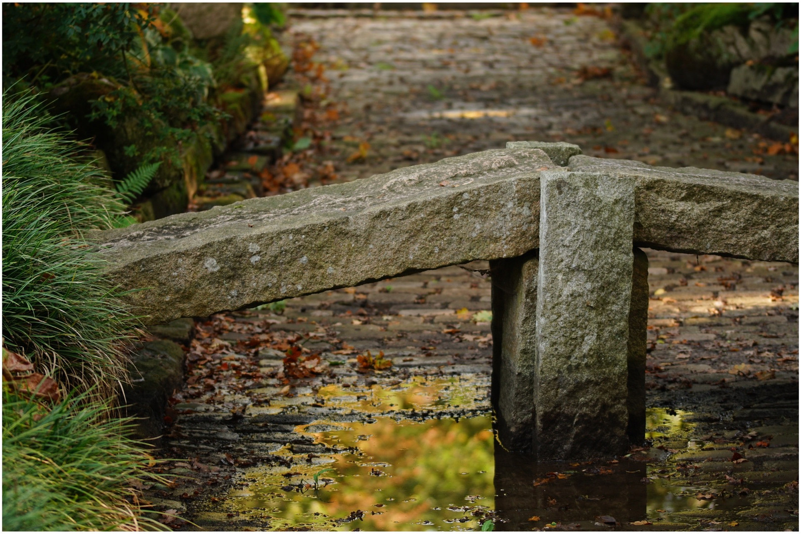 Steinbrücke im  botanischen Garten 