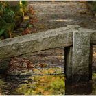 Steinbrücke im  botanischen Garten 