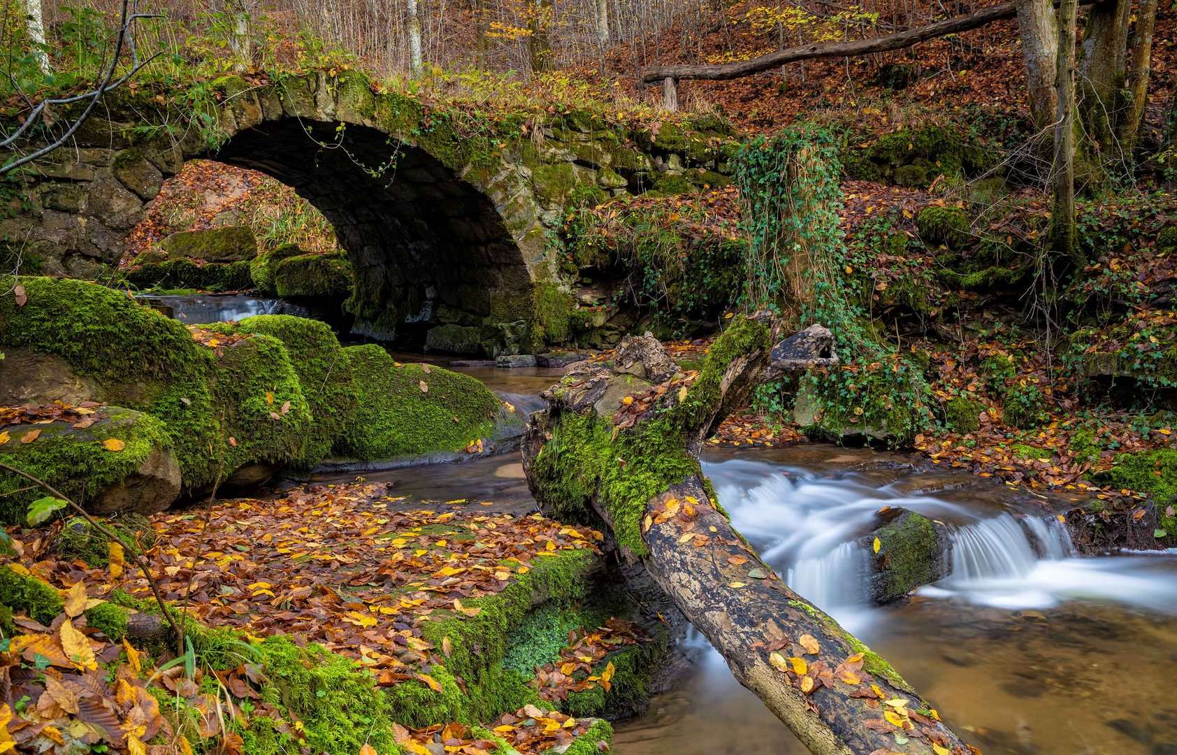 Steinbrücke im Katzenbachtal .. Foto & Bild deutschland, europe