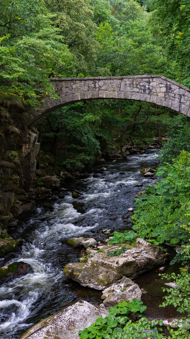 Steinbrücke über der Bode
