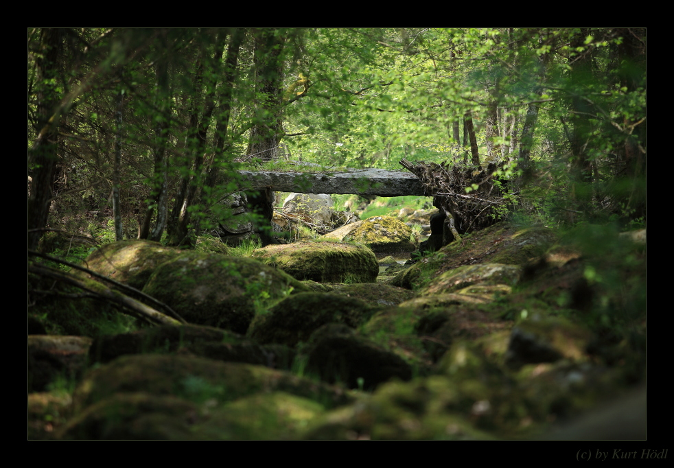 Steinbrücke über die "Steinerne Mühl"...