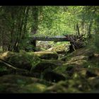 Steinbrücke über die "Steinerne Mühl"...