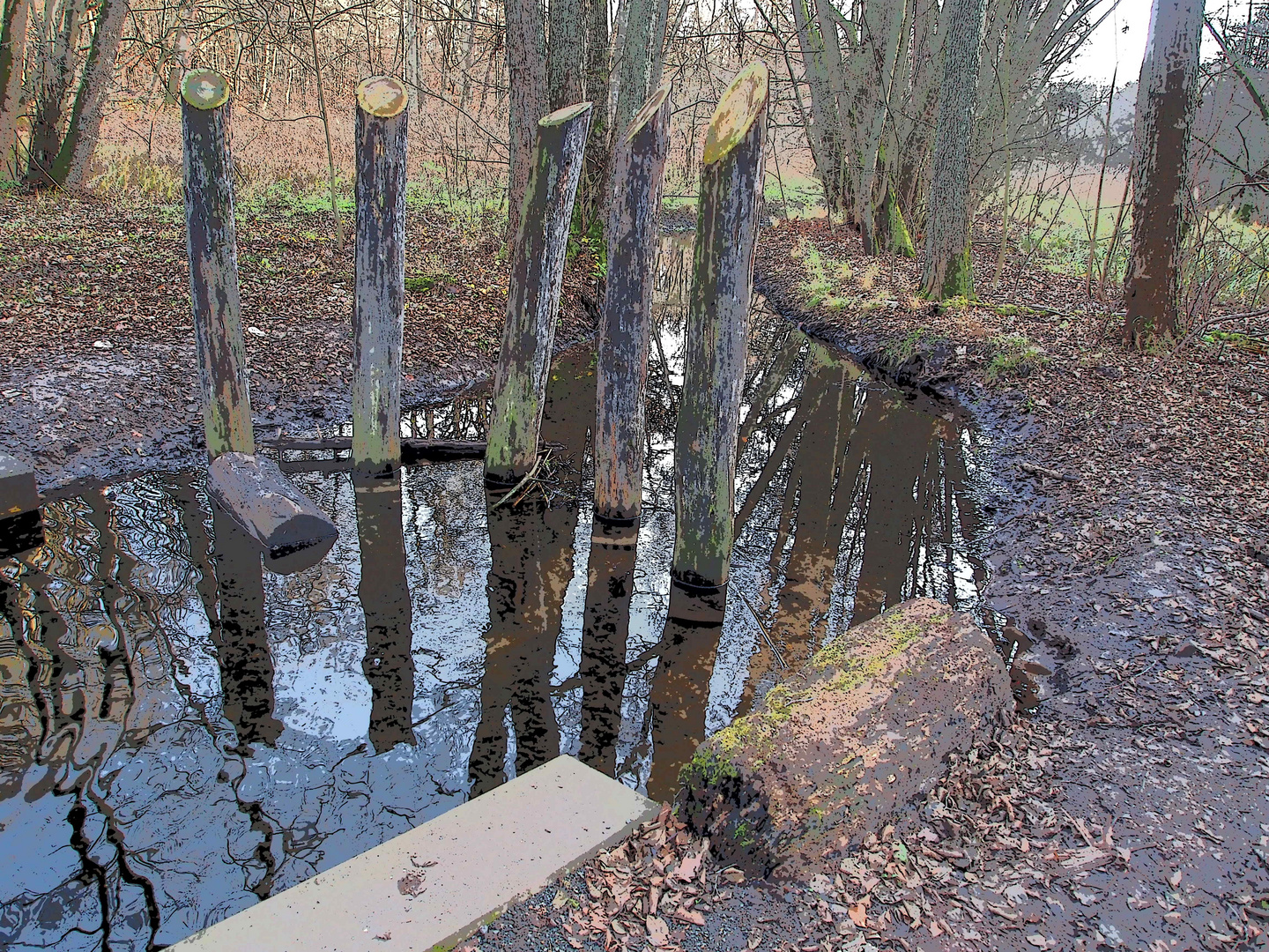 Steinbrücker Teich / Oberwaldhaus Darmstadt 02