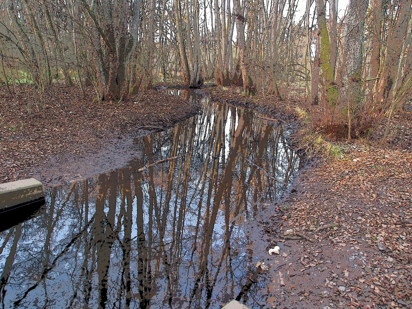 Steinbrücker Teich / Oberwaldhaus Darmstadt 03