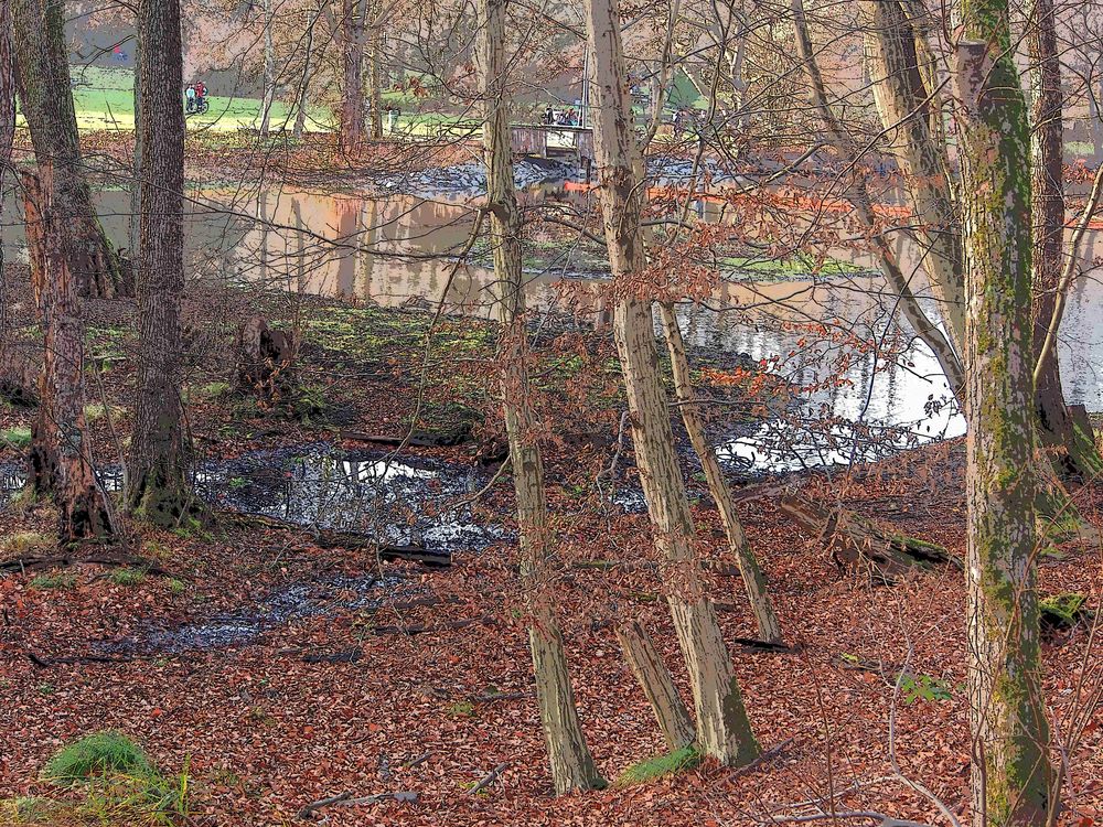 Steinbrücker Teich / Oberwaldhaus Darmstadt 04