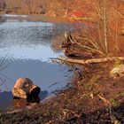 Steinbrücker Teich / Oberwaldhaus Darmstadt 06