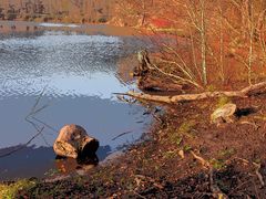 Steinbrücker Teich / Oberwaldhaus Darmstadt 06