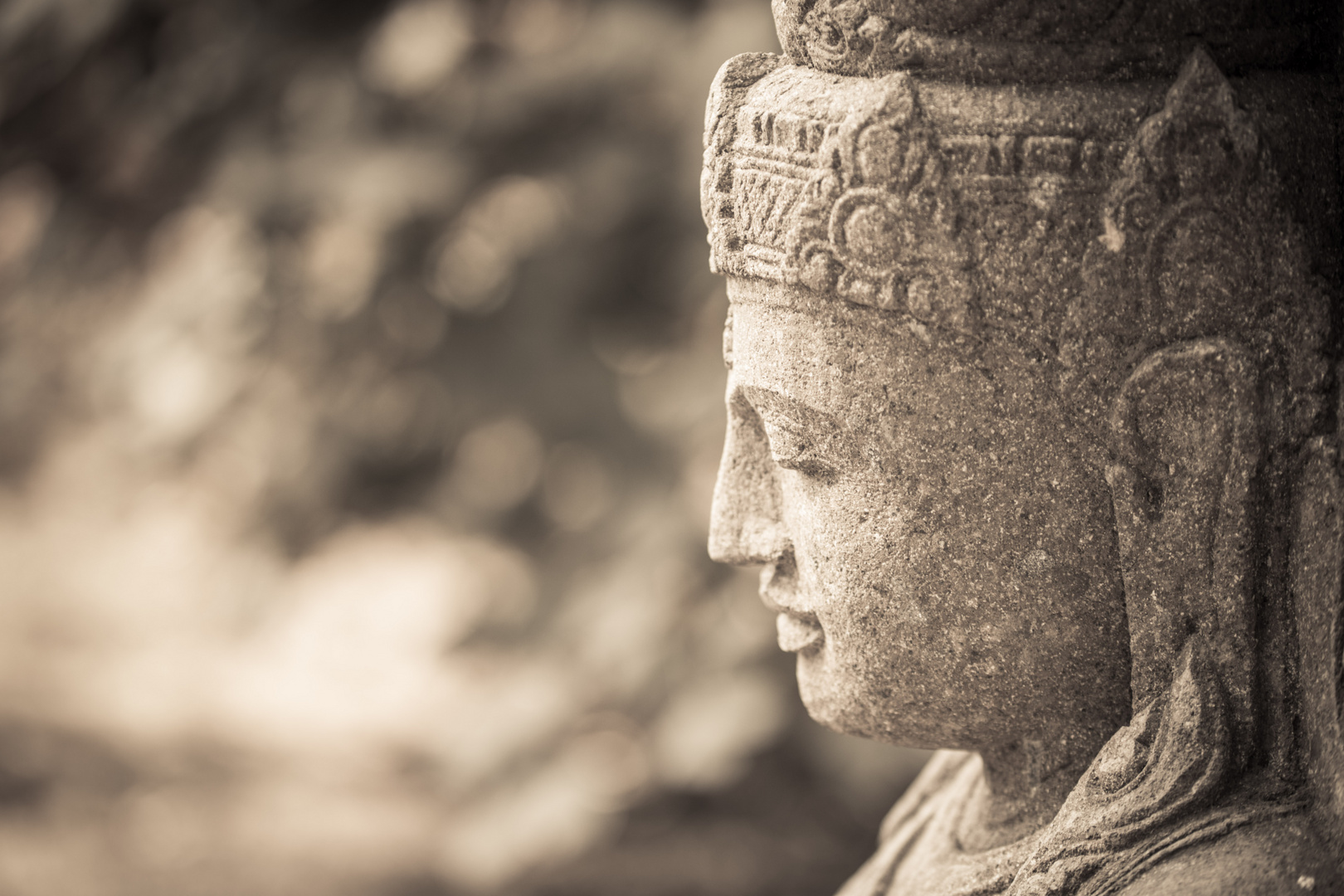 Steinbuddha im Profil
