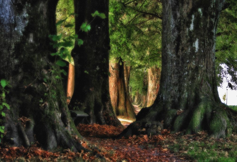 Steindl Allee bei Holzkirchen