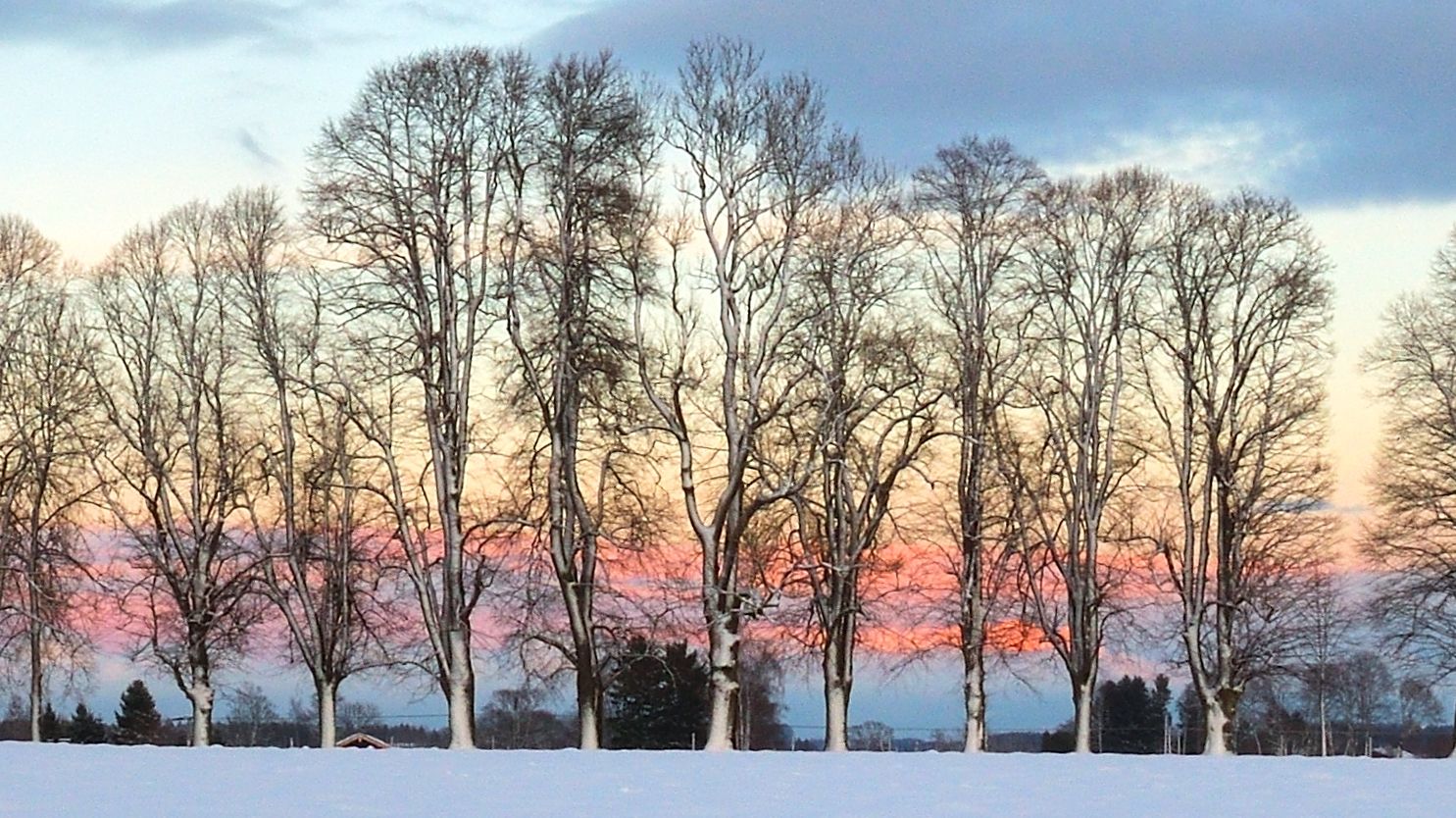 Steindl Allee