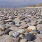 Steine am Børsmosestrand