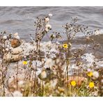 Steine am Strand