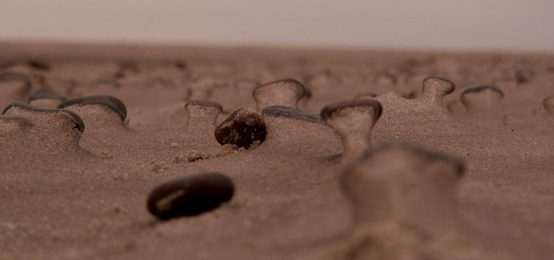 Steine am Strand