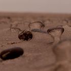 Steine am Strand