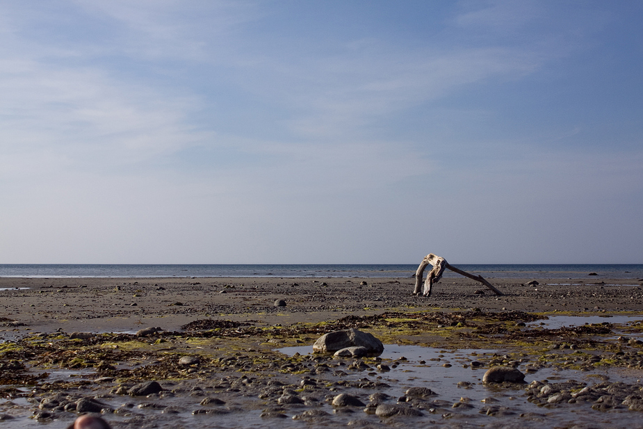 Steine am Strand und ein Ungetüm