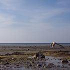 Steine am Strand und ein Ungetüm