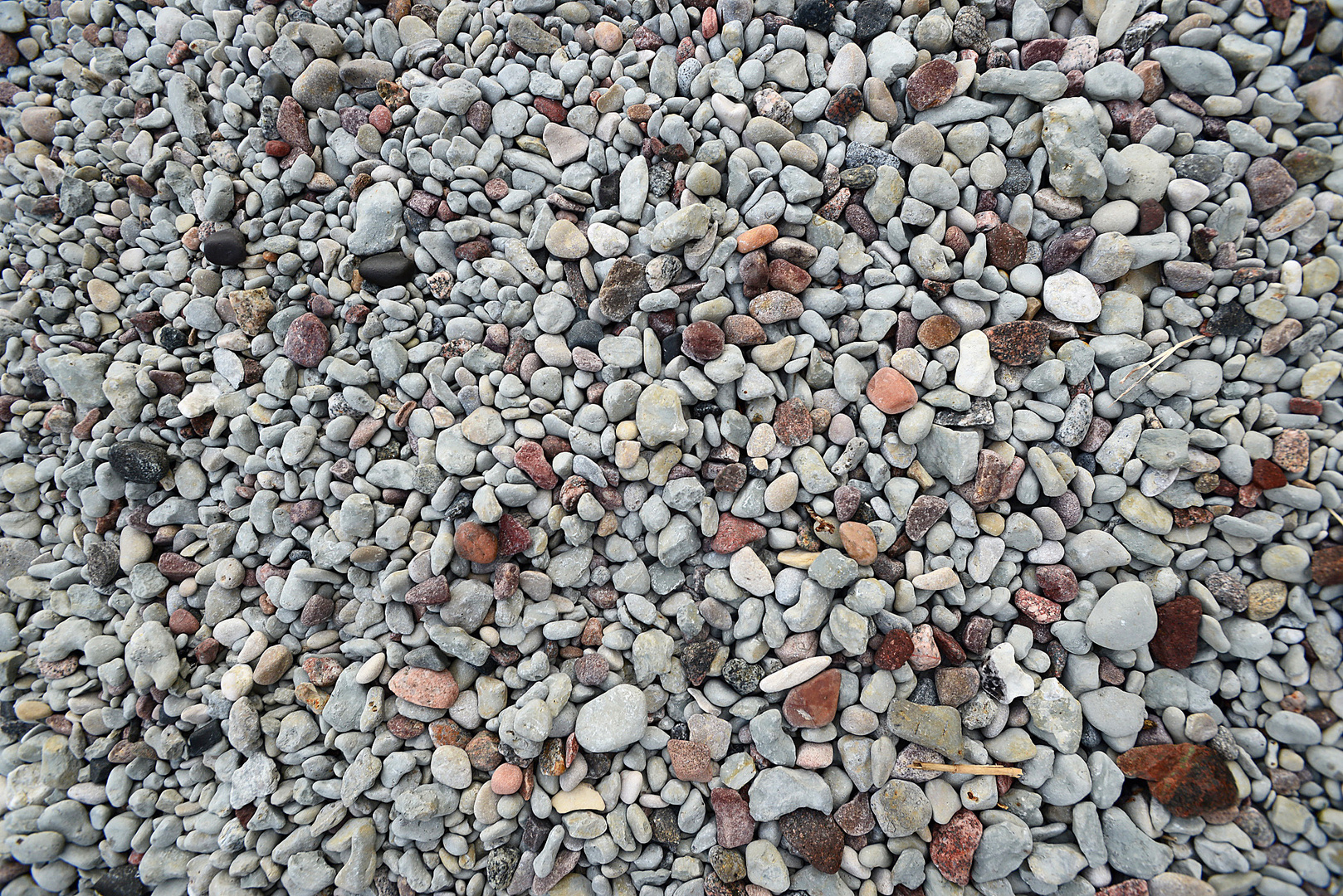 Steine am Strand von Gotland