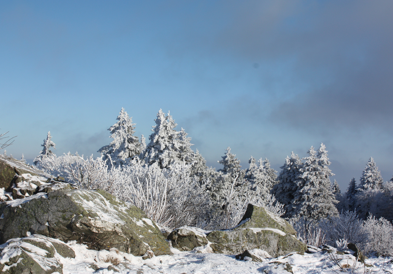 Steine auf dem Feldberg