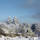 Steine auf dem Feldberg