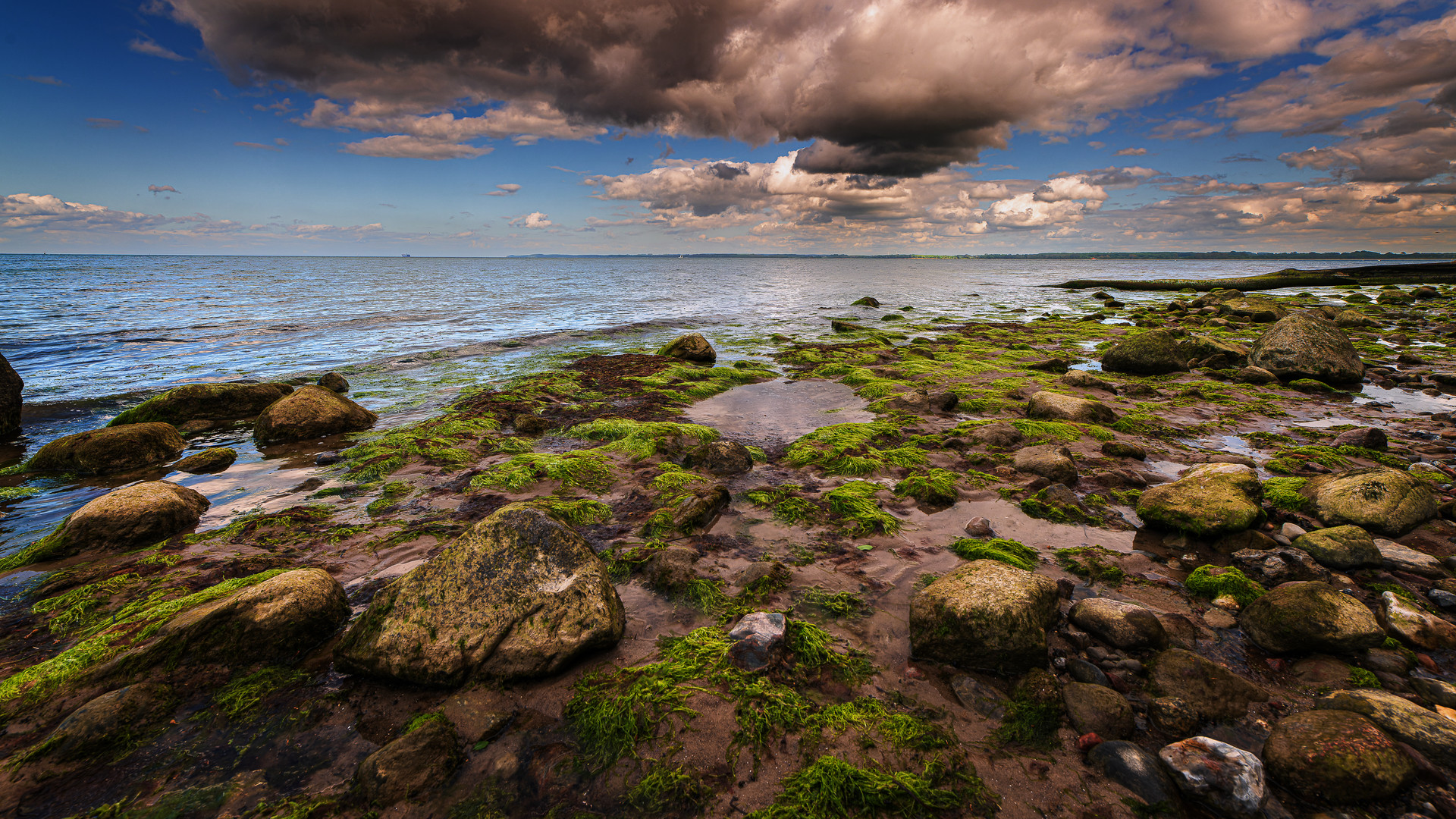 Steine der Ostsee