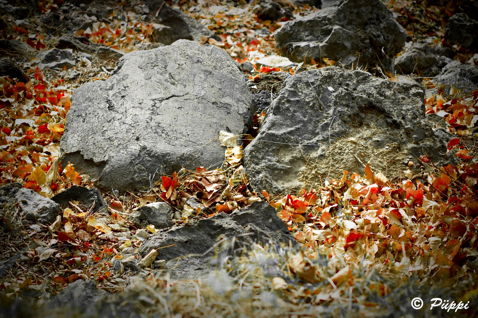 Steine des Herbst