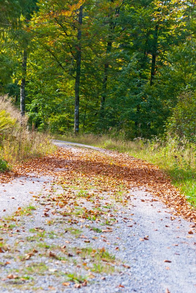 Steine erzählen Geschichten (Erlebnistour) - Der Herbst-