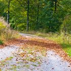 Steine erzählen Geschichten (Erlebnistour) - Der Herbst-