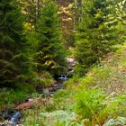 Steine erzählen Geschichten (Erlebnistour) entlang der Rotmurg