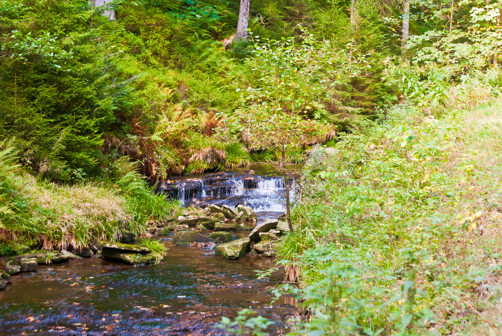 Steine erzählen Geschichten (Erlebnistour) -Flache Talbecken-