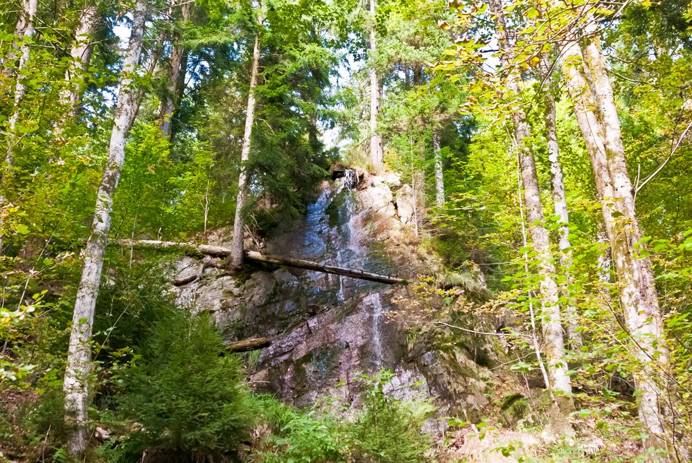 Steine erzählen Geschichten (Erlebnistour) - Nebenkrater oder Vulkanschlot? -