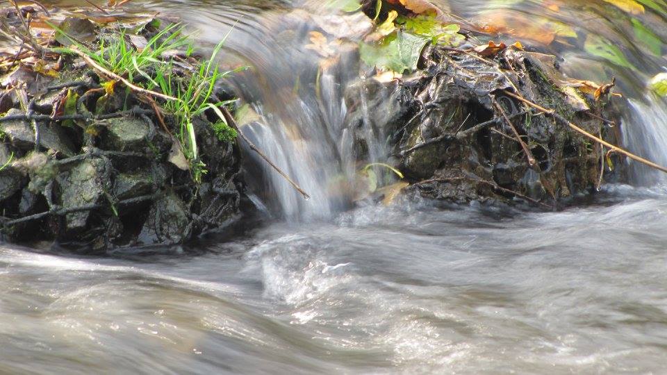 Steine im Bach