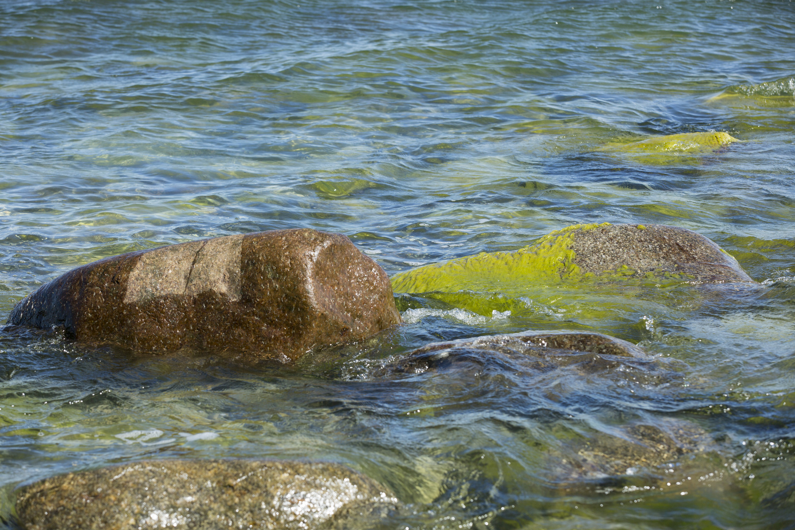 Steine im Flachwasser